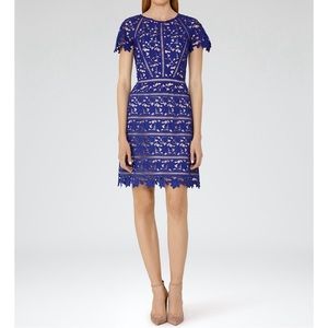 Reiss Orchid Lace Cocktail Dress in Sapphire